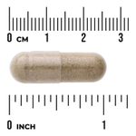 Swanson Vitamins, Full Spectrum®, Chanca Piedra, 500 мг, 60 растительных капсул