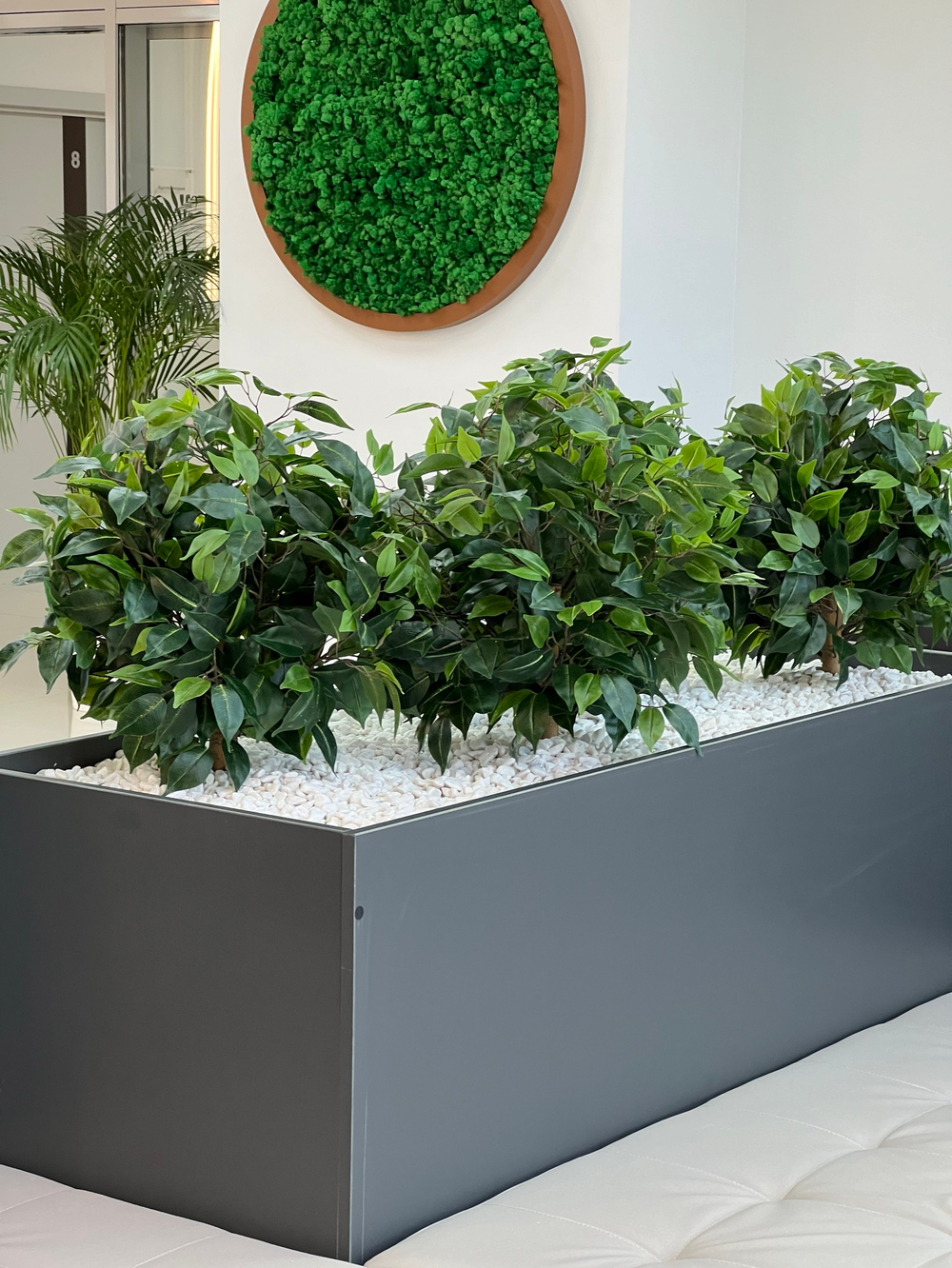 Озеленение искусственными растениями офиса строительной компании "ССК" г.Краснодар