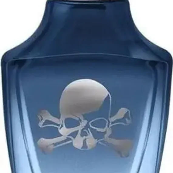 Универсальный парфюм для мужчин Police On Power For Him EDP 30ml