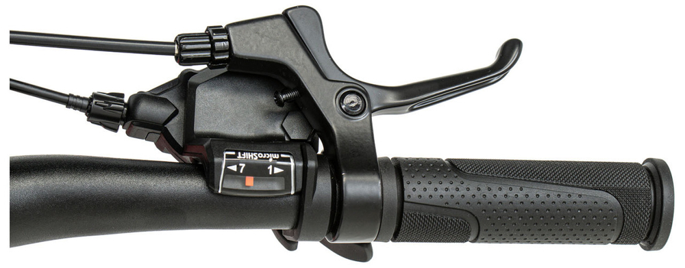 Детский велосипед Welt Brave 1.0 20 MD (2025)