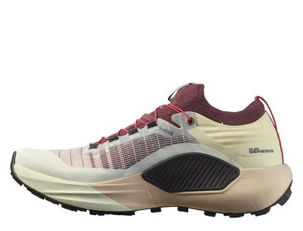 Кроссовки для бега мужские Salomon S/LAB Genesis Vanilia М Бежево-бордовые