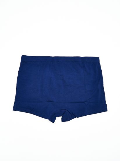 Шорты мужские ATLANTIC MH-1654