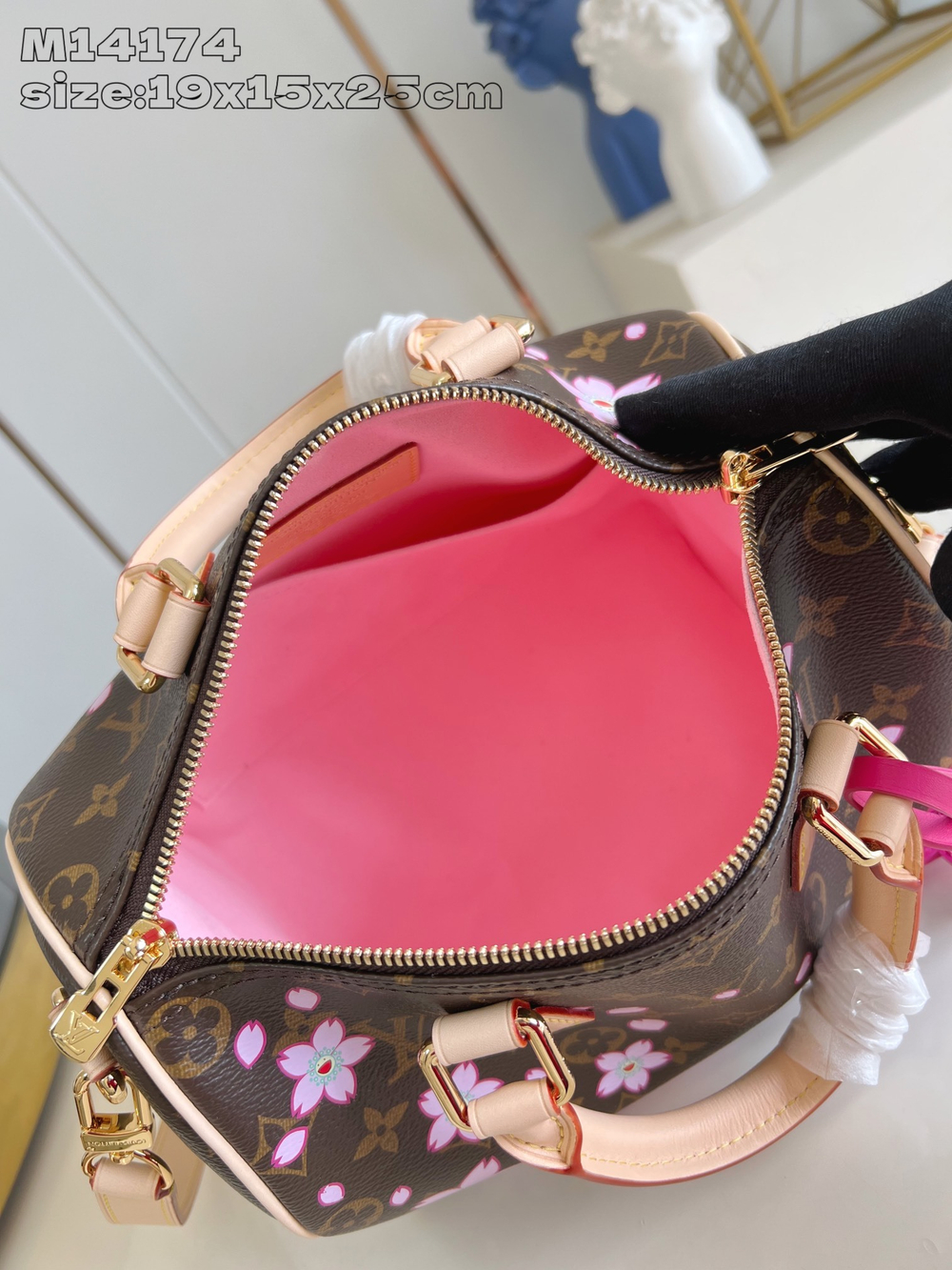 Louis Vuitton Speedy 25