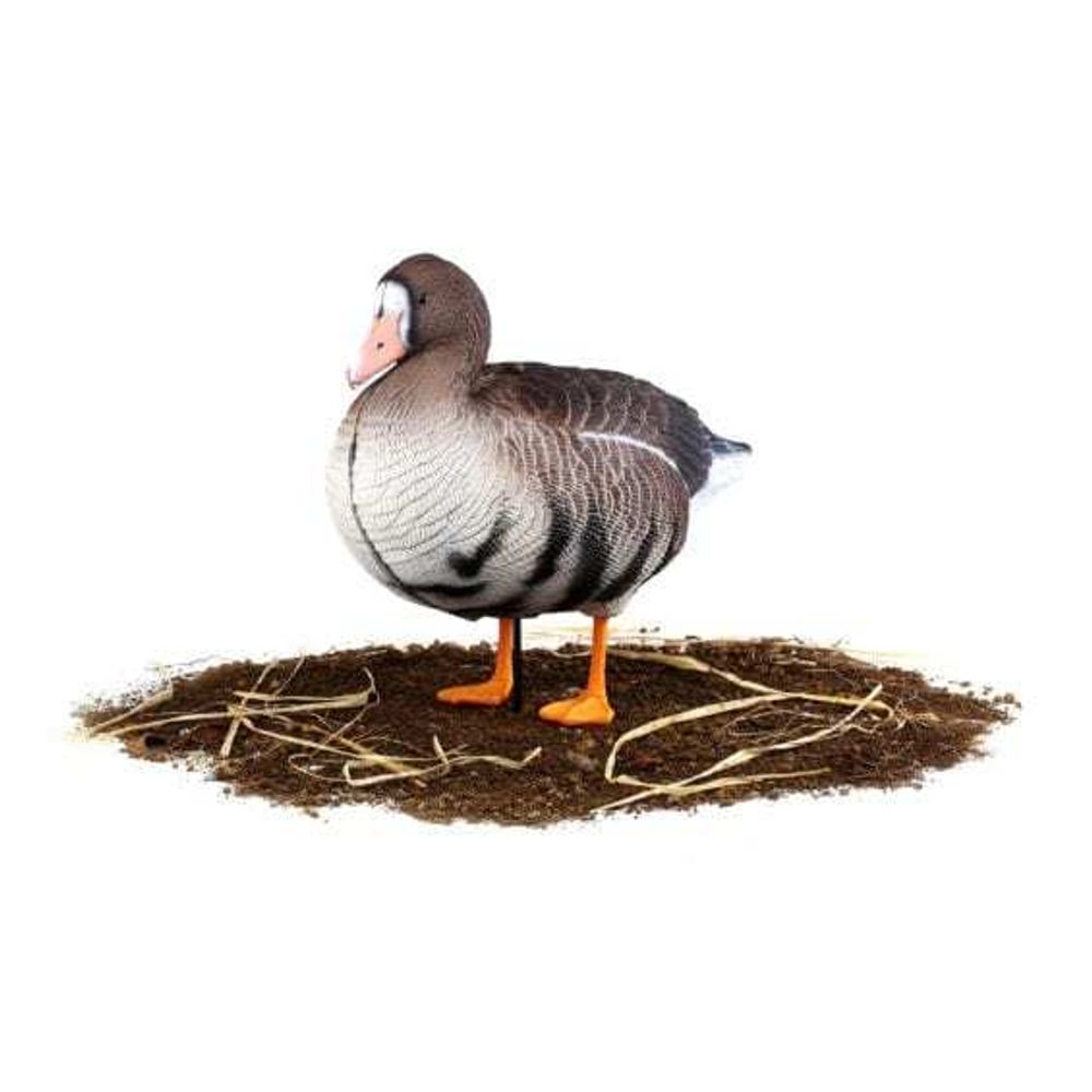 Комплект чучел Белолобый (10шт) S-XPE B622-3D "North Way"