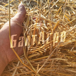 Солома пшеничная золотистая сухая 2 кг