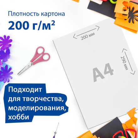 Картон белый А4 МЕЛОВАННЫЙ (белый оборот), 16 листов, в папке, BRAUBERG, 200х290 мм, 113561