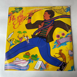 Винтажная виниловая пластинка LP ВИА Пламя На Два Дня (СССР 1990)