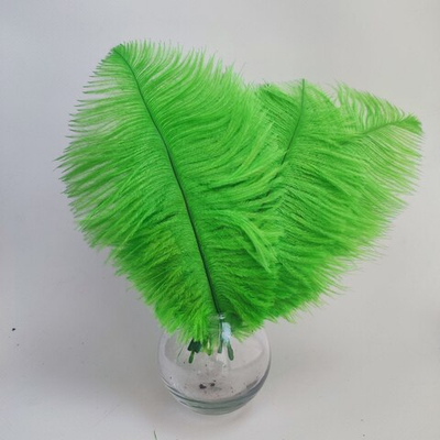 Перо страуса салатовое 15 - 20 см.