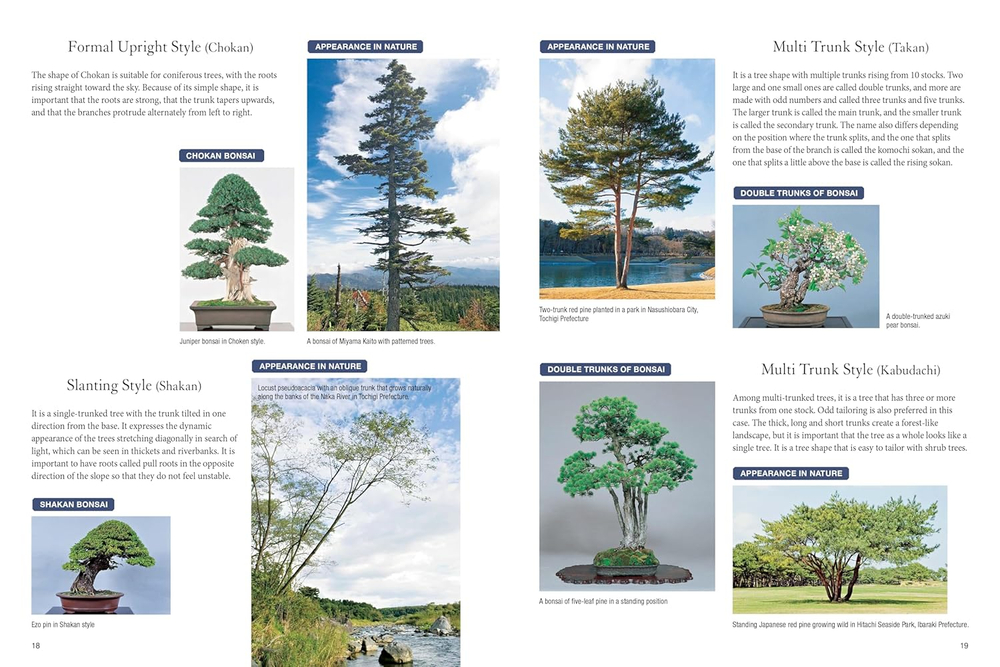Bonsai master class