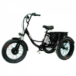 Электровелосипед GreenCamel Трайк-F20