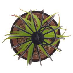 GAEM Цветочная композиция "Суккулент", L12 W12 H18 см