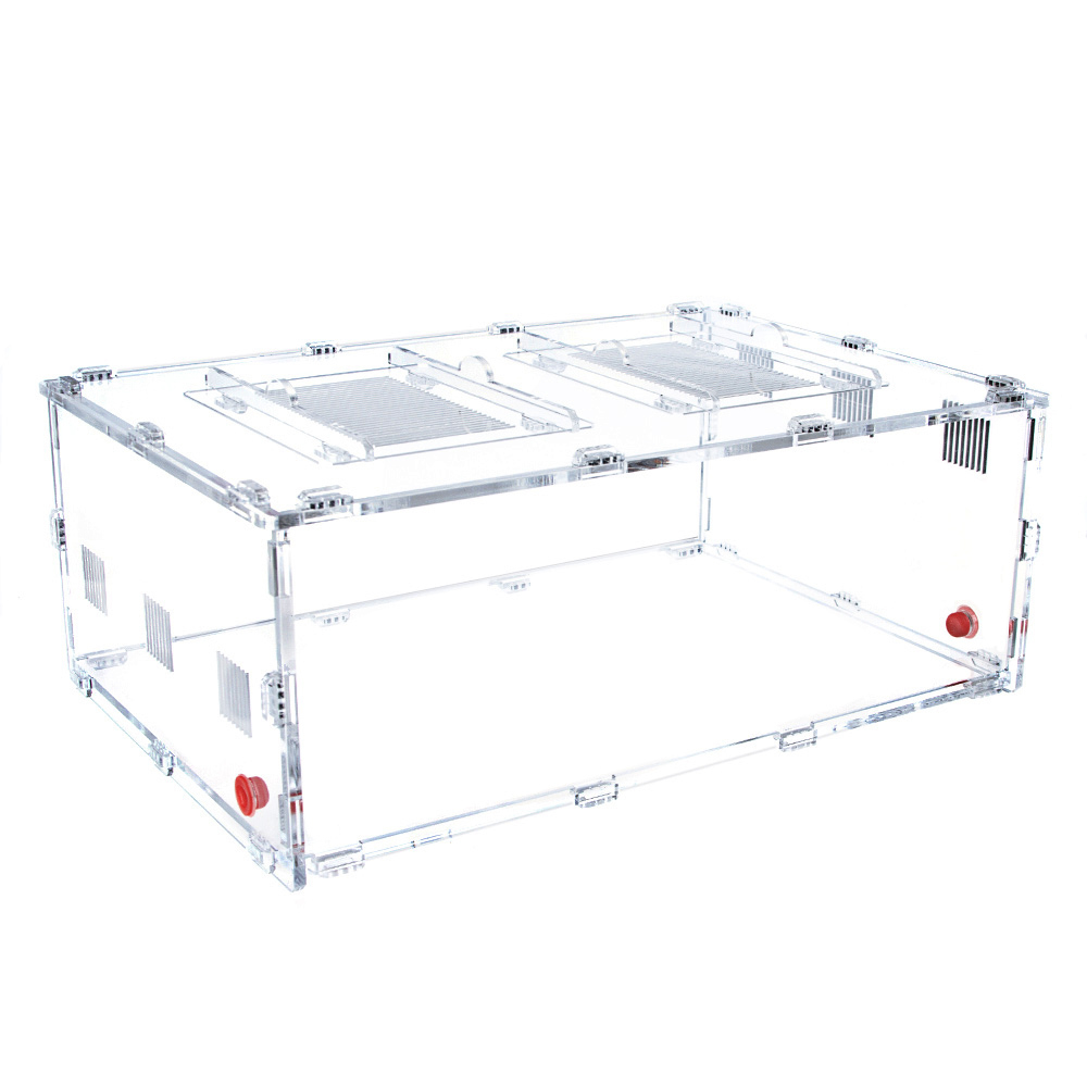 Большая арена для муравьев