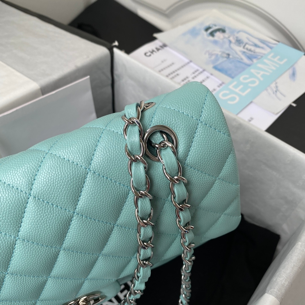 Chane1 Classic Flap Bag 25 cm