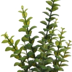 Цветок искусственный в горшке «Крассула» 35см