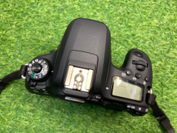 Canon EOS 77D 15.000 кадров
