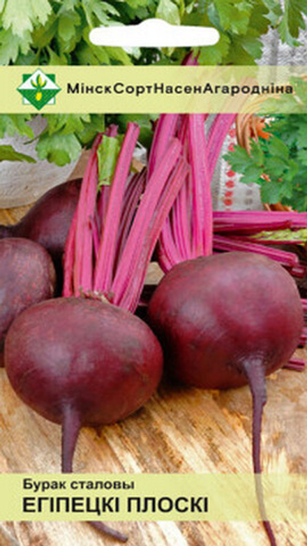Свекла столовая "Египетская плоская" 3г, Германия.