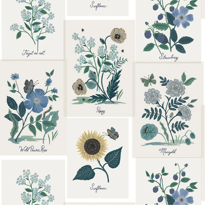 Rifle Paper Co. Second Edition