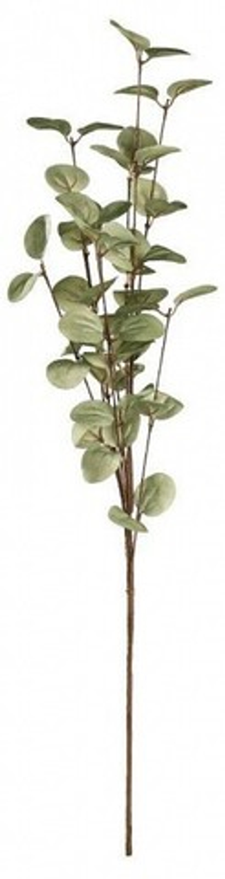 Ветка Eglo Tepaling 428219