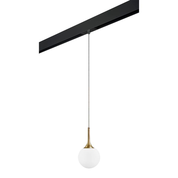 Комплект с трековым светильником Lightstar Globo (813013+595007) PRO813013