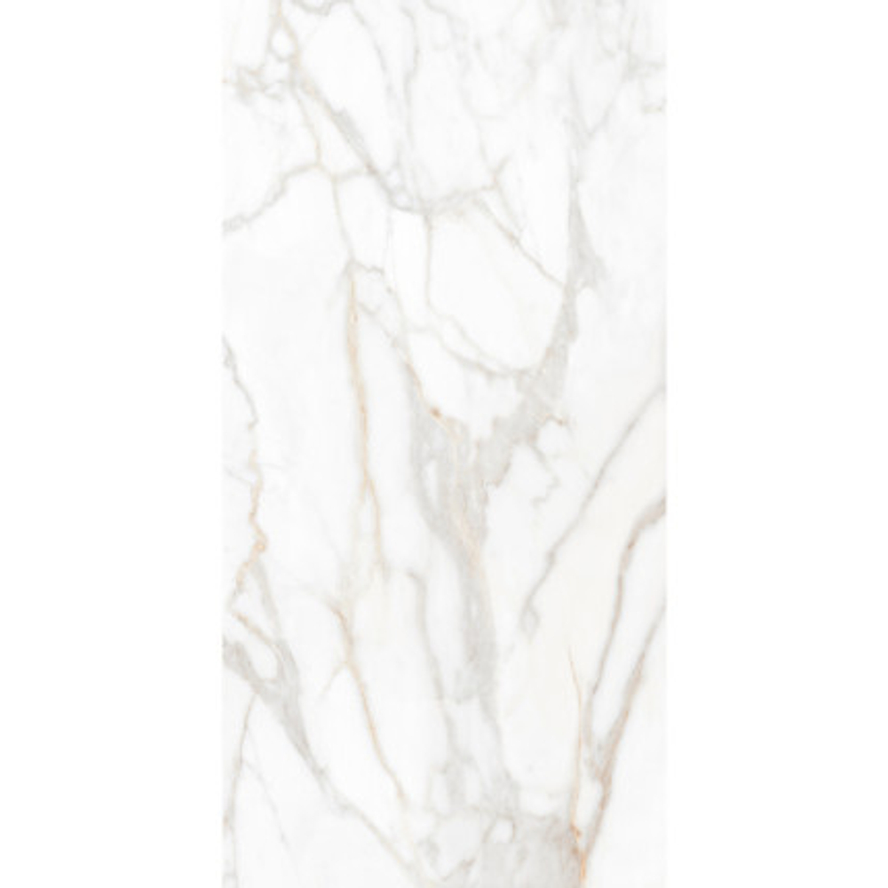 SM02  600*1200 керамогранит матовый