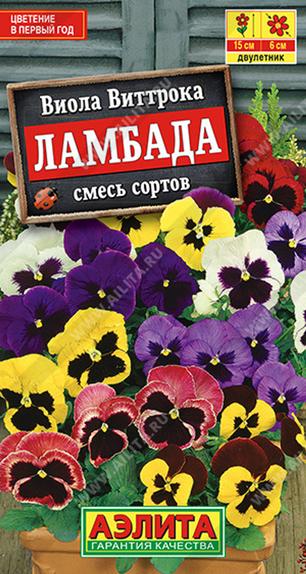 Виола Ламбада, смесь Ц Аэлита