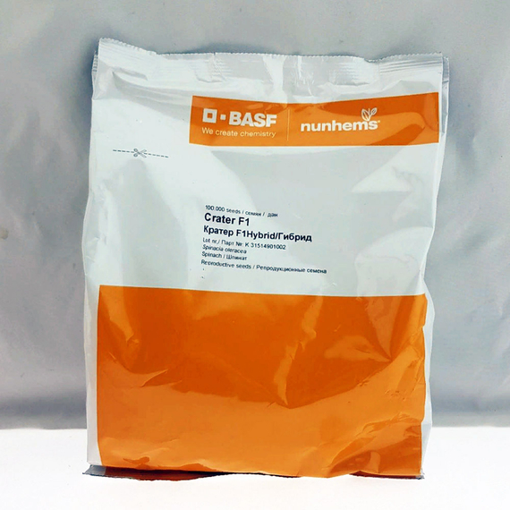 Кратер F1 семена шпината (Nunhems / Нюнемс) – фото 2