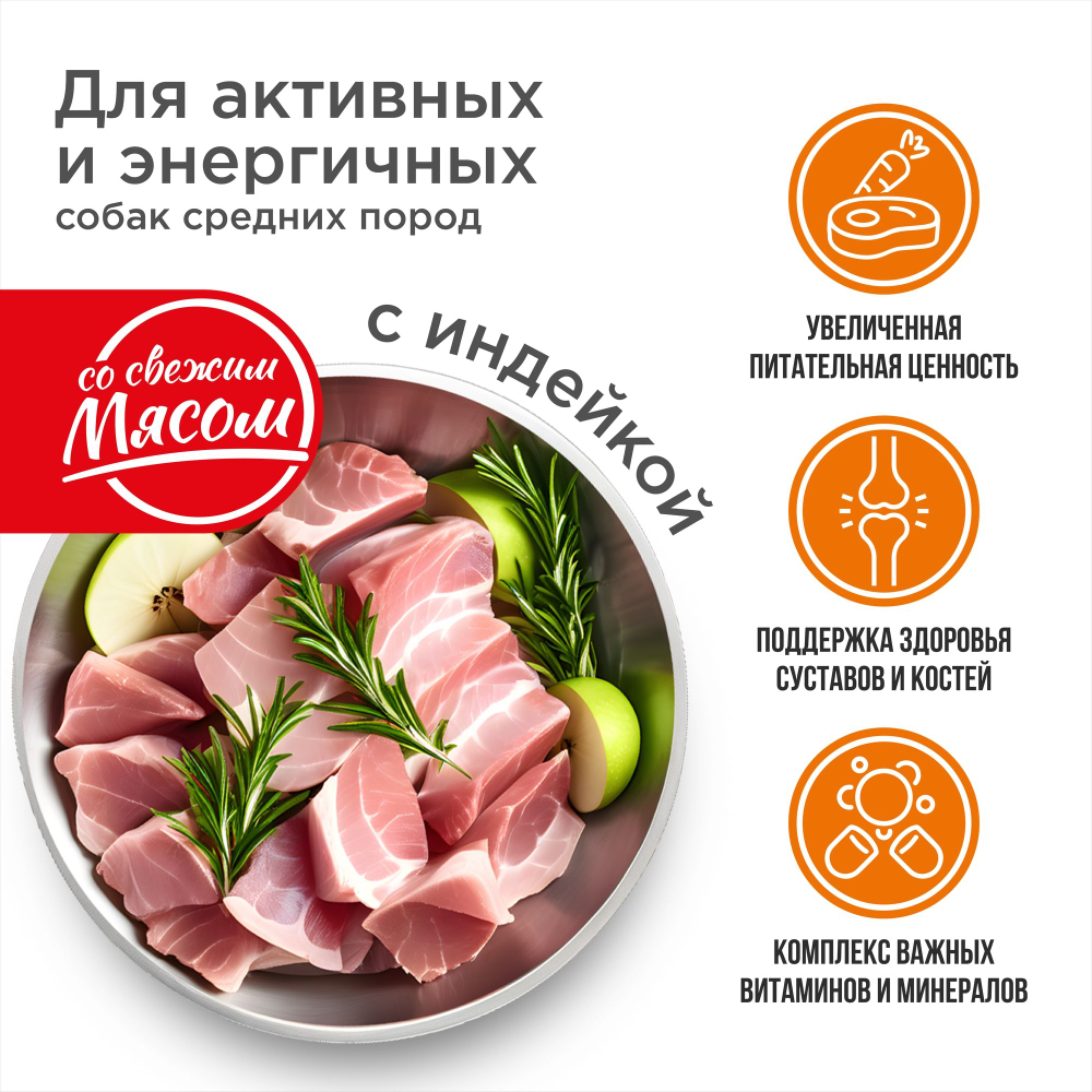 Корм сухой для взрослых собак средних пород, премиум полнорационный комплекс, для активных и энергичных, с индейкой, 2,5 кг, QUATTRO