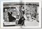 Helmut Newton (Multilingual Edition)