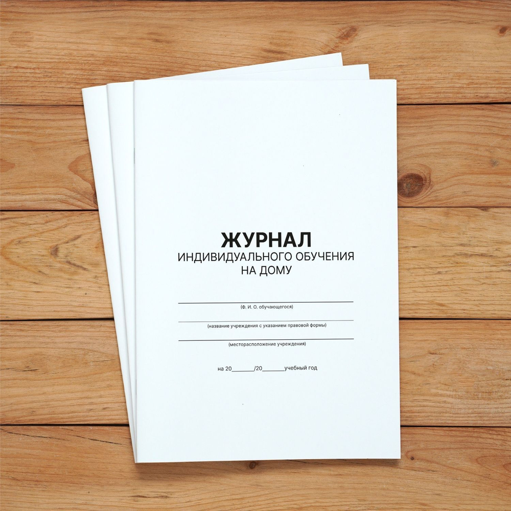 3 шт Журнал учета индивидуального обучения на дому