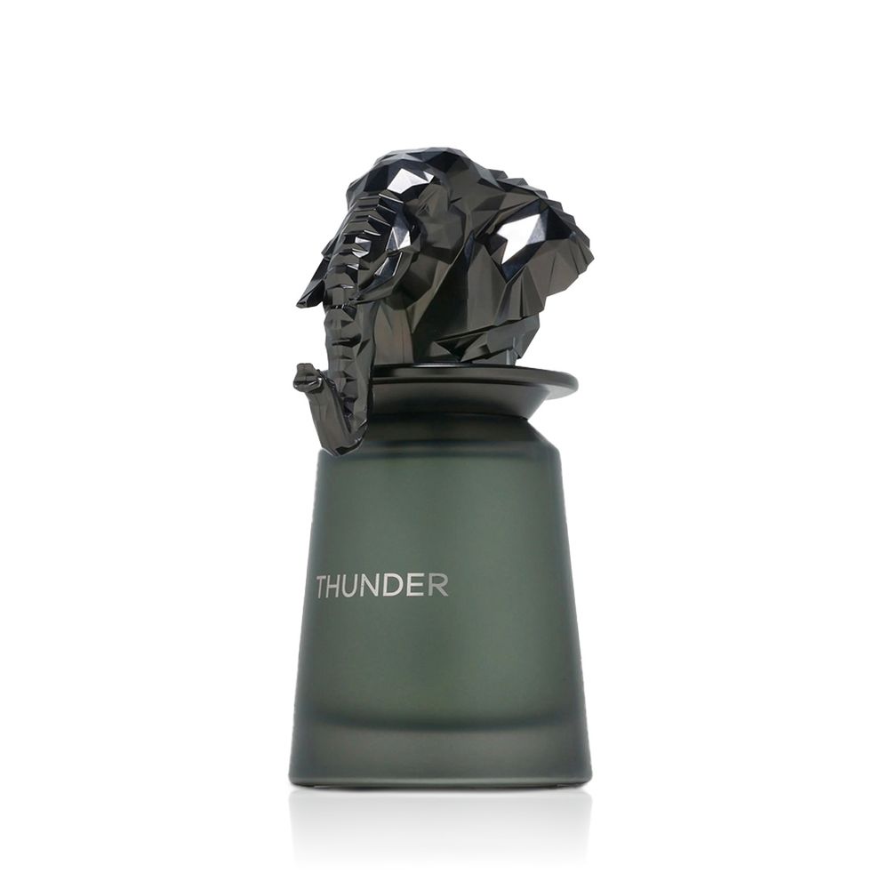 French Avenue Thunder Eau De Parfum 100 ml (man)