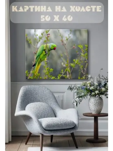 Картина на стену 40 X 50 Попугай
