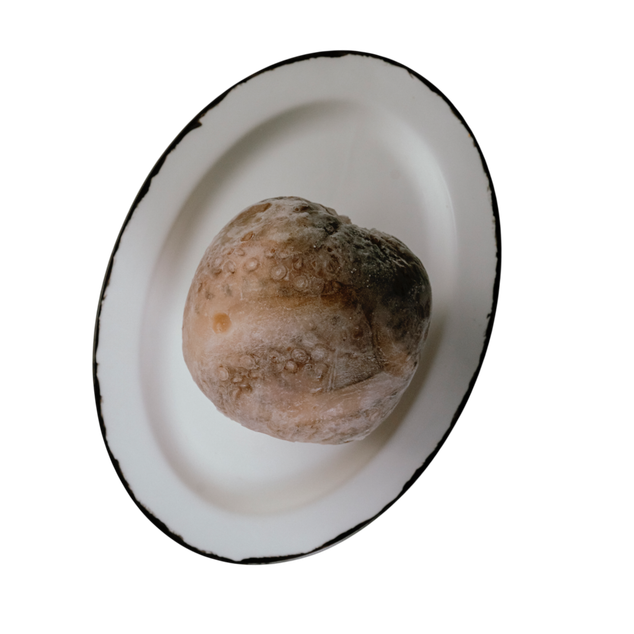 Осьминог с/м очищ 1-2 кг