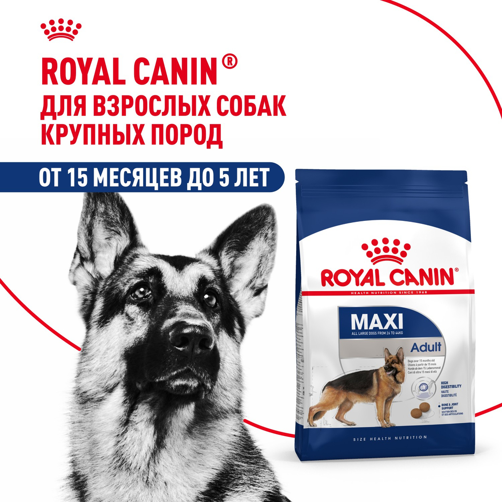 Royal Canin Maxi Adult Корм сухой для взрослых собак крупных размеров от 15 месяцев до 5 лет 15 кг