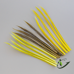 ORVIS Индюшиные биоты Turkey Biots