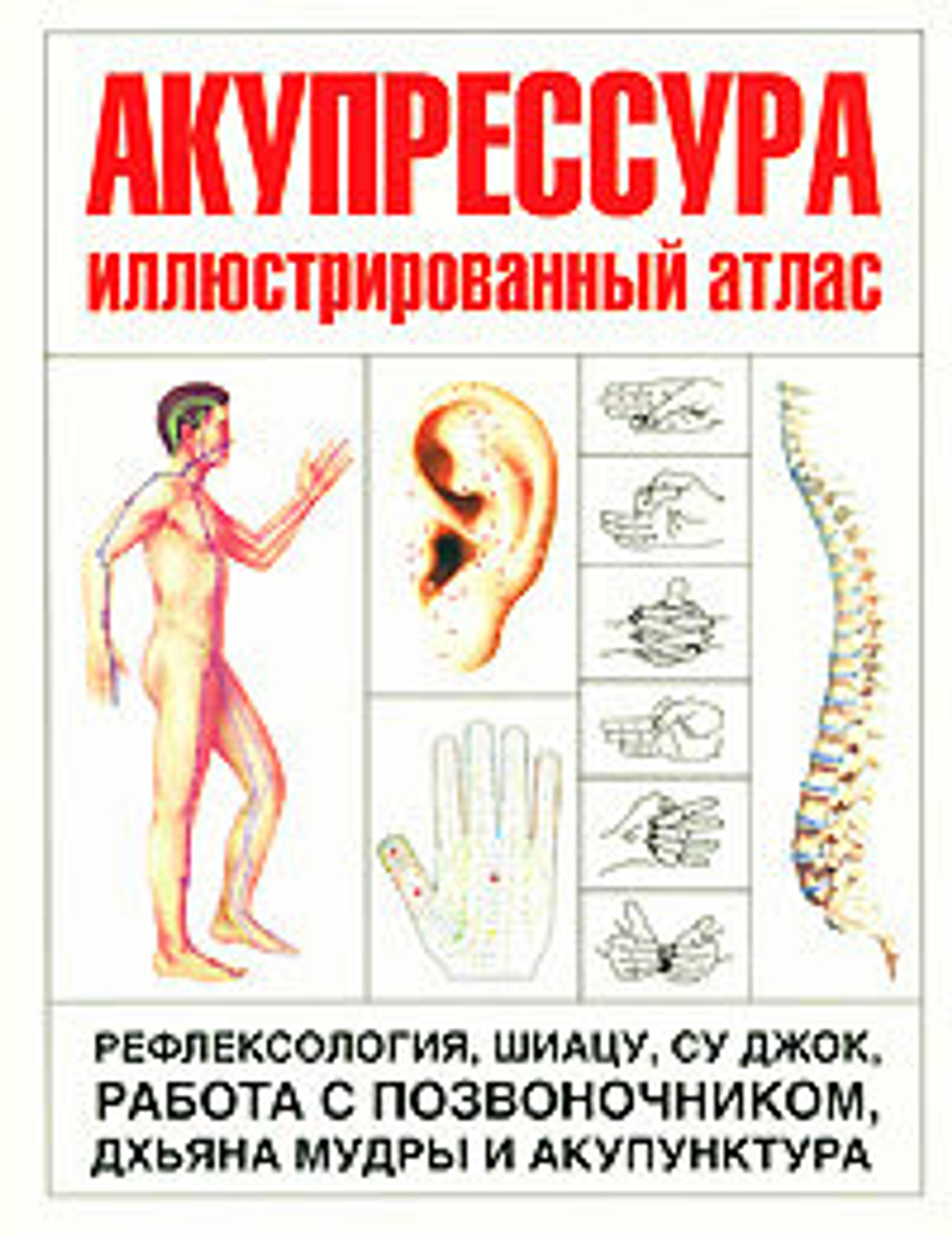 Акупрессура. Иллюстрированный атлас