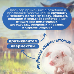 Суспензия для приёма внутрь для лечения паразитарных болезней у сельскохозяйственных животных и птиц Празивер (Apicenna), 1л Празиквантел/Ивермектин