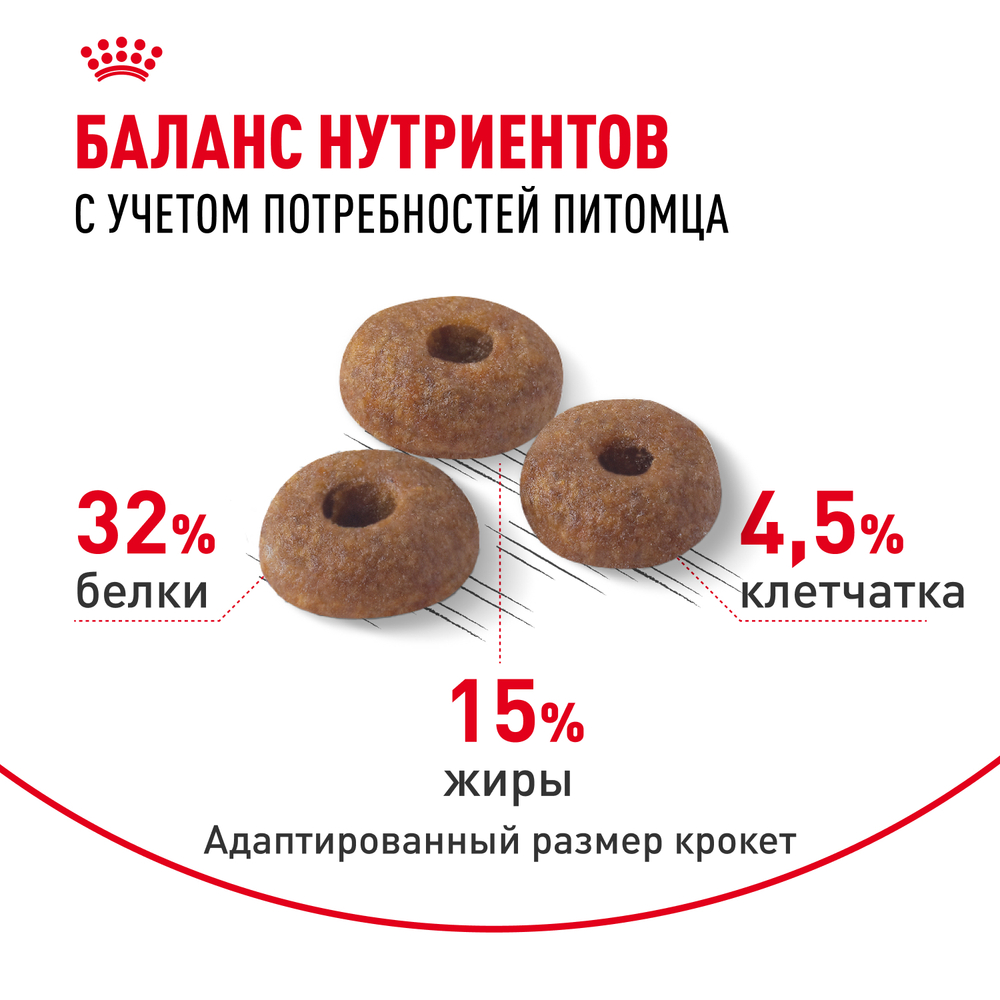 Royal Canin Fit 32 Фит 32 Корм сухой для взрослых умеренно активных кошек от 1 года 4кг