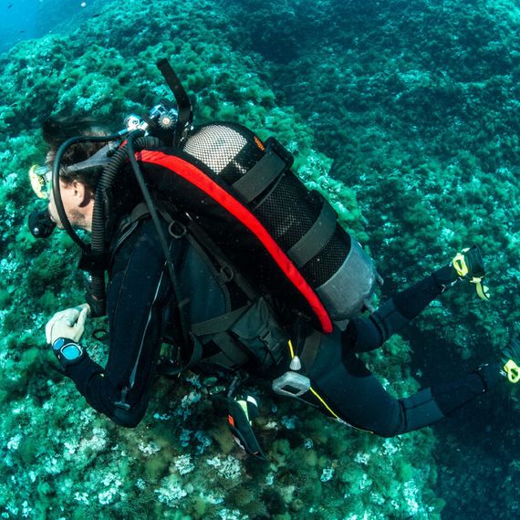 Жилет-компенсатор BCD Seac Modular Оne size Тип-крыло красный