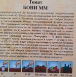 Семена овощей и зелени, набор 10шт