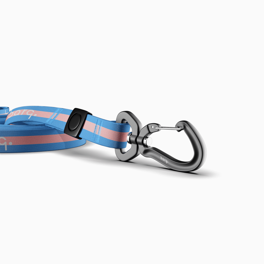 Поводок Stripes