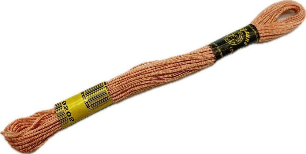 Нитки вышивальные Мулине 10м (9202)