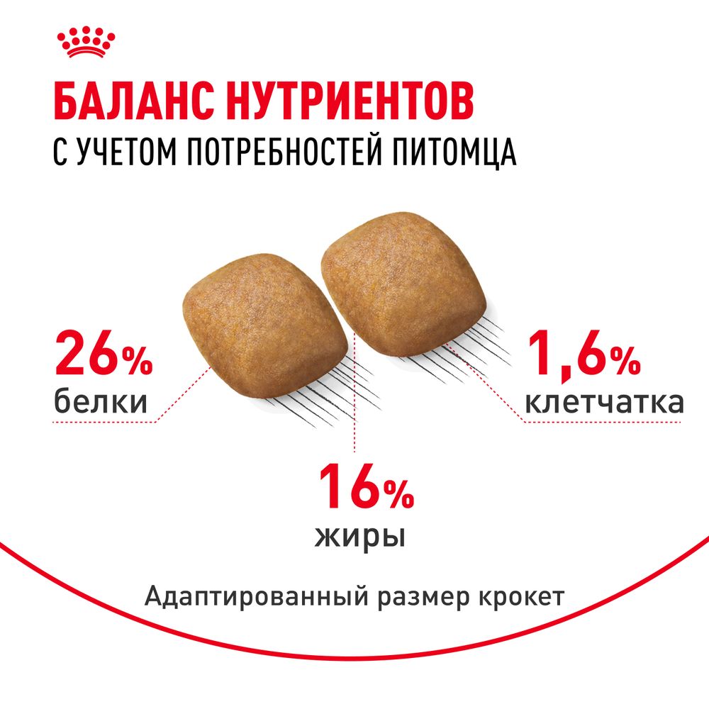 Сухой корм Royal Canin Pomeranian Adult для взрослых собак породы Померанский Шпиц Сухой корм Royal Canin Pomeranian Adult для взрослых собак породы Померанский Шпиц