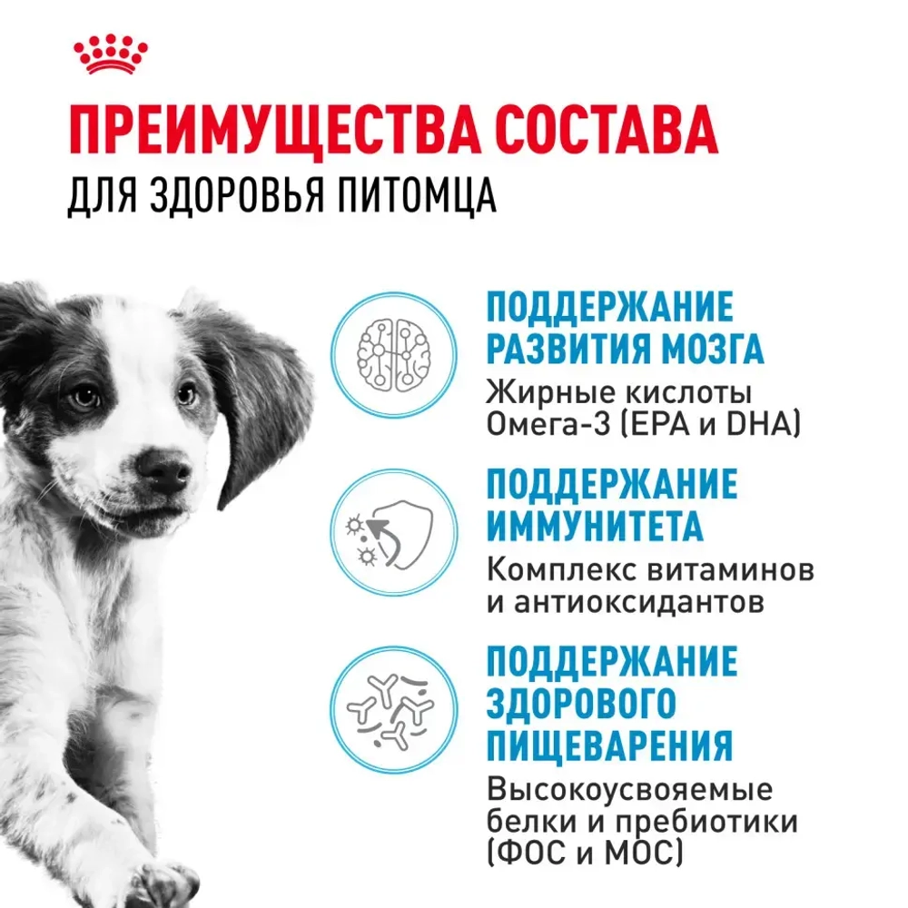 Royal canin medium puppy сухой корм для щенков средних пород до 12 месяцев с птицей - 3 кг
