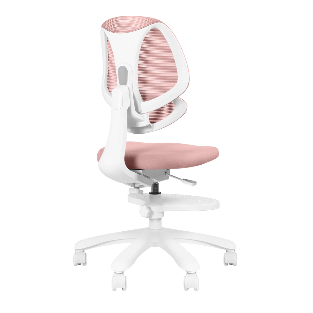 Эргономичное кресло Anatomica Farang