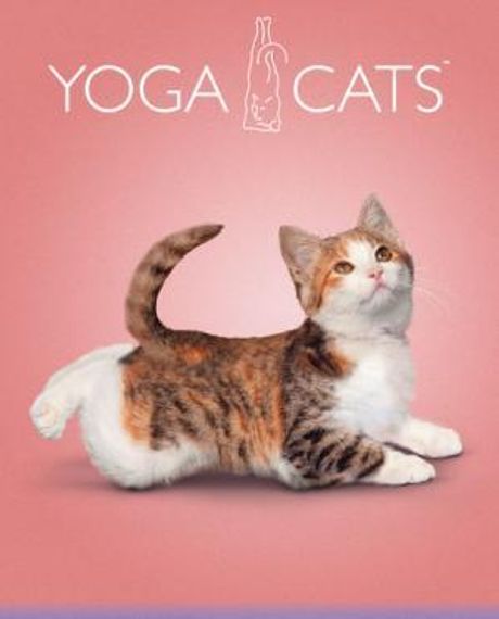 Dəftər Academy Yoga Dogs xətli 40 vərəq А5