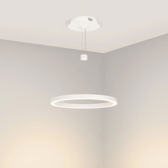 Подвесной светодиодный светильник Arlight SP-Congo-Can-1-R400-24W Day4000 046213