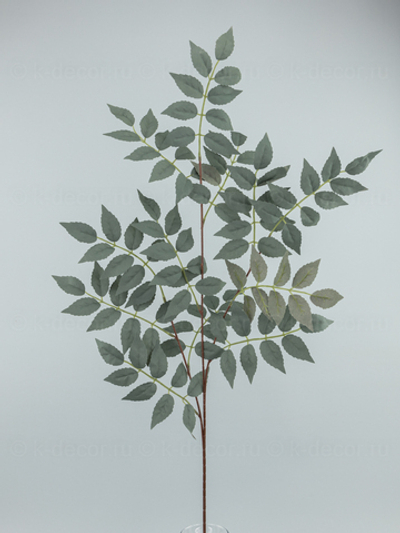 Ветка Прованс