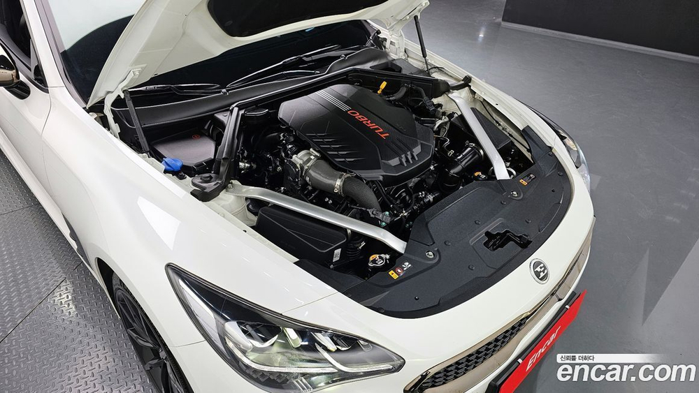 Kia Stinger Meister 3.3 GT AWD MASTER Turbo 패키지 (08.2021)