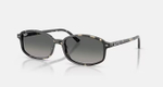 RAY-BAN SAM RB2232 133371