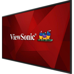 Монитор 55" ViewSonic CDE5520 (CDE5520)
